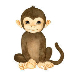 Hand drawn watercolor illustration. Cute little monkey on white background.