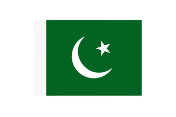 flat design pakistan flag icon vector illustration .National Flag of Pakistan