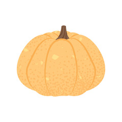 Illustration of a Festive Orange Yellow Pumpkin