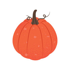 Illustration of a Ripe Orange Pumpkin