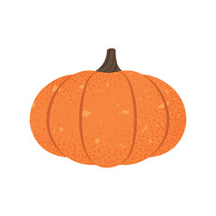 Illustration of a Ripe Orange Pumpkin