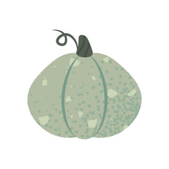 Illustration of a Green Textured Pumpkin
