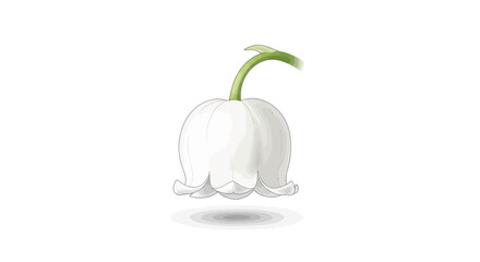 A single white lily of the valley flower isolated on a white background.