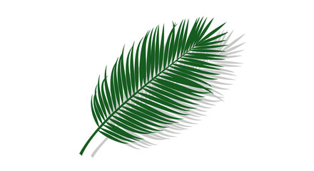 Detailed view of a vibrant green palm leaf on white background.