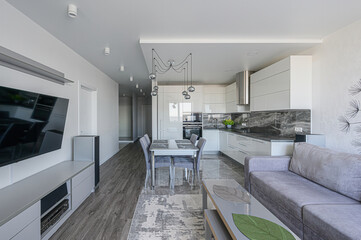 modern, open-plan apartment showcases a living area with a gray sofa, coffee table, and dandelion...