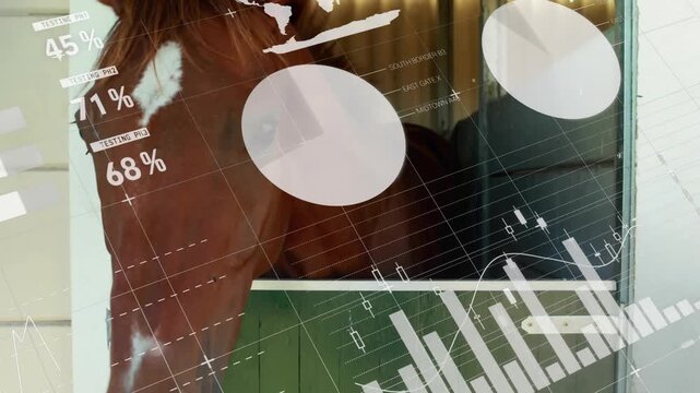 Data overlays moving, horse pushing head and gazing through stall door illustrating data monitoring
