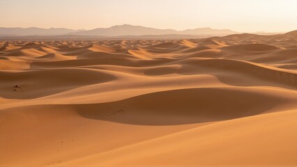 sand dunes in the desert