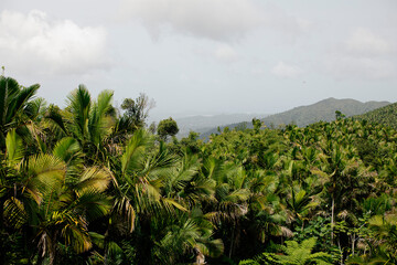 Puerto Rico
