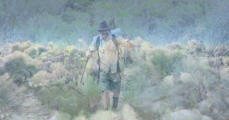 Walking hiker wearing hat gripping metal pole and wooden staff on rocky trail with backpack