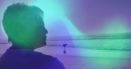 Standing senior woman gazing toward ocean horizon on wet sand beach, with small dog, copy space