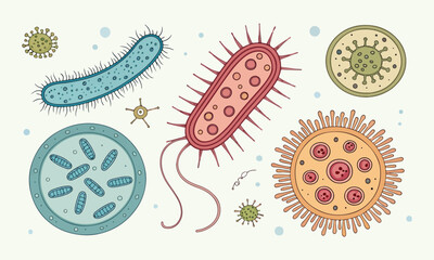 Cute Bacteria And Virus Cartoon Vectors