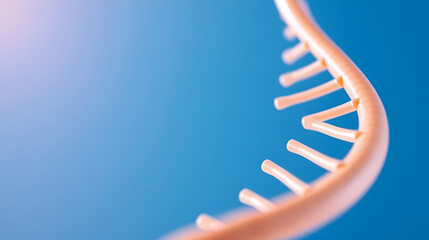 A close-up of a DNA double helix against a blue background, symbolizing genetics and biology.