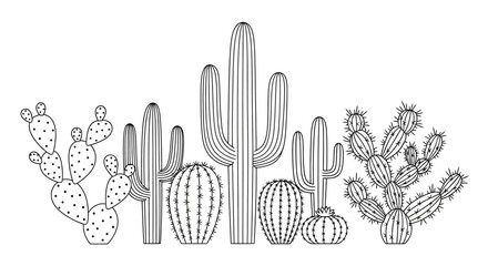 Assortment of line art cactus and succulent plants, desert botanical illustration on isolated white background. © shankara