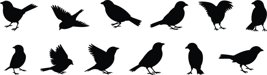 Bird silhouette collection, flying birds, perched birds, standing birds, black bird shapes, wildlife icons, avian poses, nature illustration, vector set