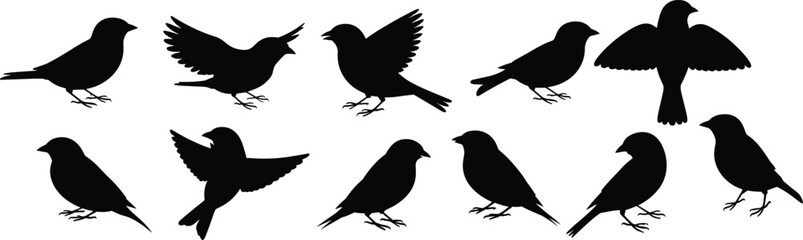 Bird silhouette set, flying birds, perched birds, standing birds, black bird icons, nature shapes, wildlife vector, avian poses, animal illustration