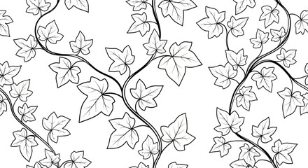 Seamless pattern of climbing ivy vines and leaves in outline style on an isolated white background © shankara