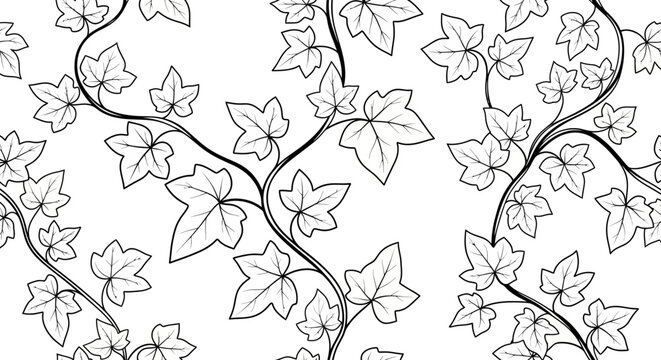 Seamless pattern of climbing ivy vines and leaves in outline style on an isolated white background