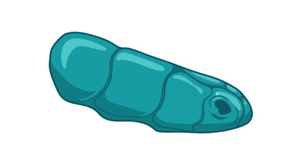 Teal Organic Segmented Object With Hole Isolated.