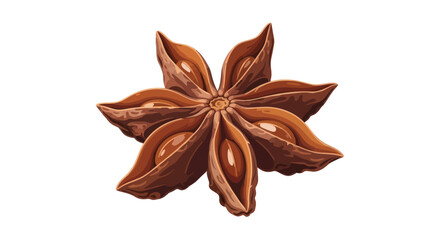 Single Star Anise Spice Close-Up.