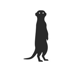 Silhouette of standing meerkat on white background