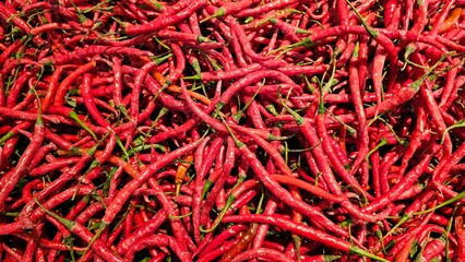 Fototapeta premium Red chillies displayed in a shop for sale