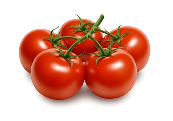 Fresh juicy tomatoes on the vine close up view