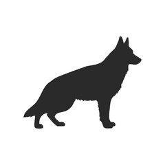 Obraz premium Silhouette of a standing german shepherd dog on white background