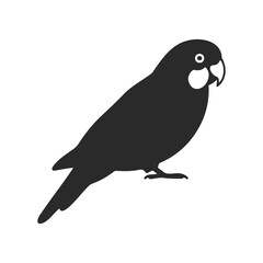 Fototapeta premium Silhouette of a parrot on white background