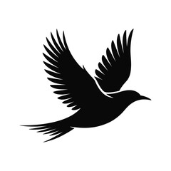 Black silhouette of a bird in flight with wings spread