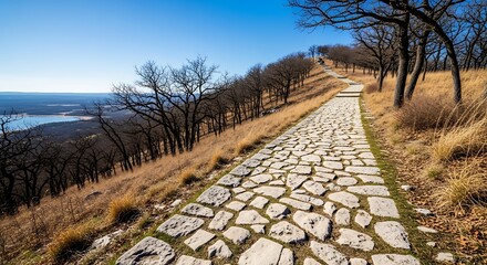 Ascend scenic stone path through barren trees towards distant horizon under clear blue sky