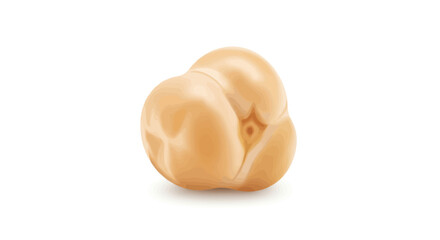 Single Beige Chickpea Isolated on White Background.