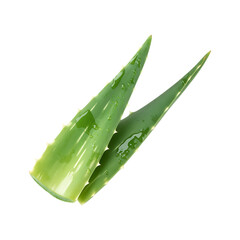 Fresh aloe vera leaf with water droplets.