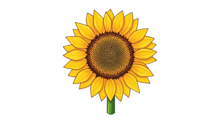 Close up view of a single sunflower.