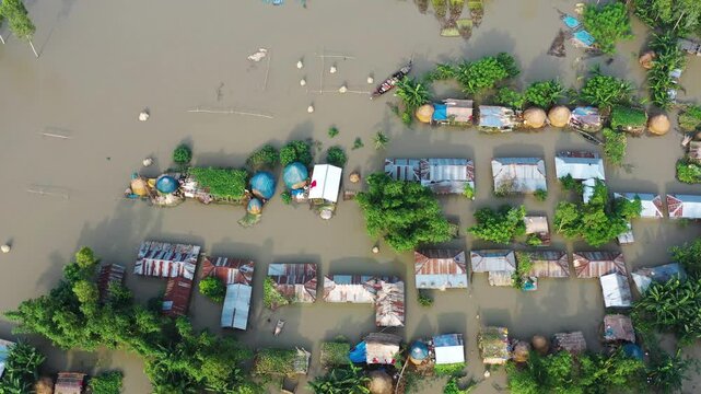 Bogura, Bangladesh - 22 August 2025: Aerial view of a village submerged in floodwater, where houses and trees are partially hidden beneath the murky water.