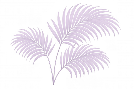 Light purple palm leaves creating tropical summer vibe, floating against transparent backdrop for contemporary graphic design