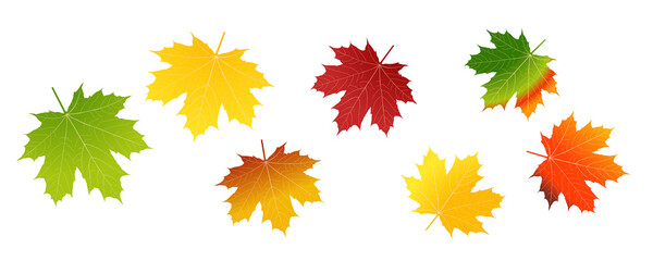 Whirling Autumn Leaves PNG Set (EPS10) on White Background