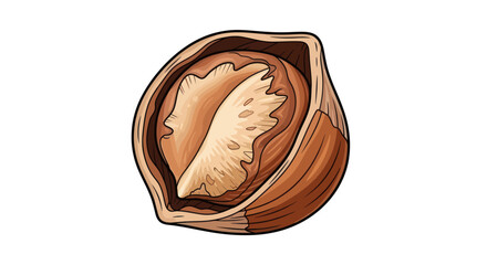 Close up of a halved hazelnut showing its inner kernel.