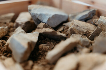 terreno vini toscana