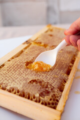 Raccogliere miele con cucchiaino
