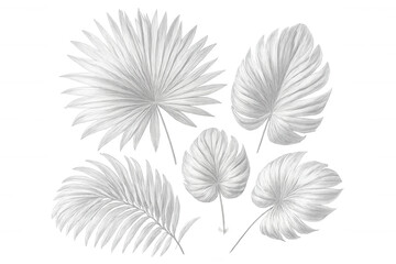 Tropical white leaves forming elegant botanical pattern, isolated on transparent backdrop, enhancing graphic design compositions
