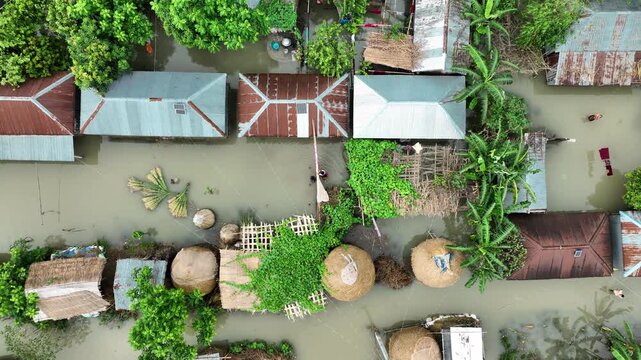 Bogura, Bangladesh - 22 August 2025: Aerial view of a flooded village shows homes surrounded by water, highlighting the impact of monsoon rains.