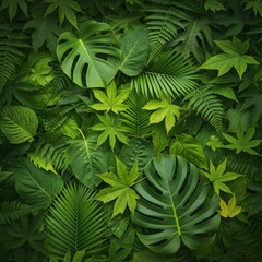 fern leaf background