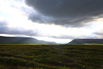 moody scene of Iceland’s rugged landscape with dense grass and moss, illuminated by sunlight breaking through dark dramatic clouds.