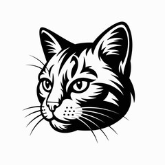 vector image of a cat