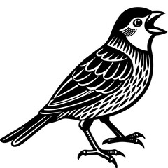 Singing Bird Illustration