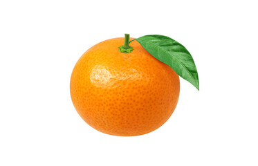 みかんのイラスト リアル ミカン