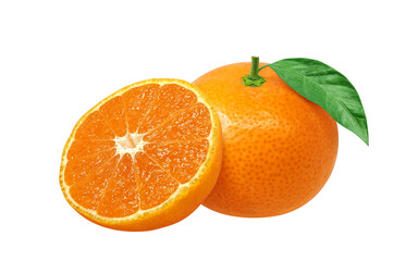 みかんのイラスト リアル ミカン