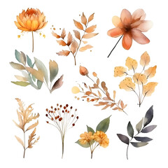 Obraz premium watercolor fall flowers