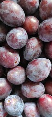 Fresh Organic Plums Healthy Seasonal Fruit Background