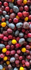 Colorful Assortment of Fruits Fills the Display at a Local Market During the Summer Season